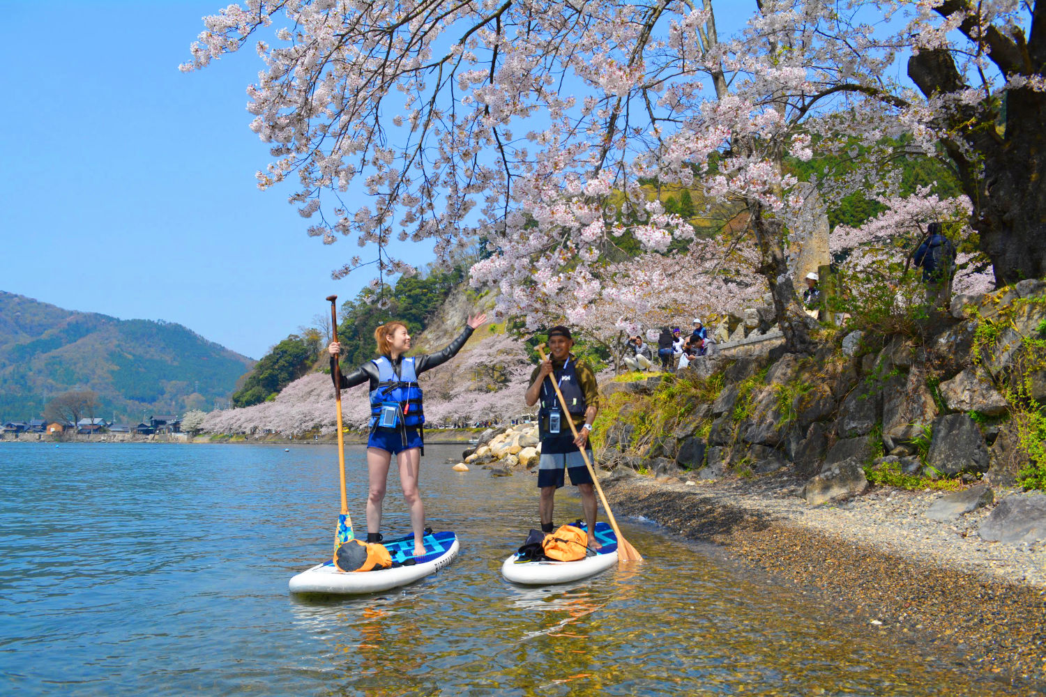 桜のシーズンは800本物ソメイヨシノが迎えてくれます（桜以外のシーズンも四季折々の魅力があります）
